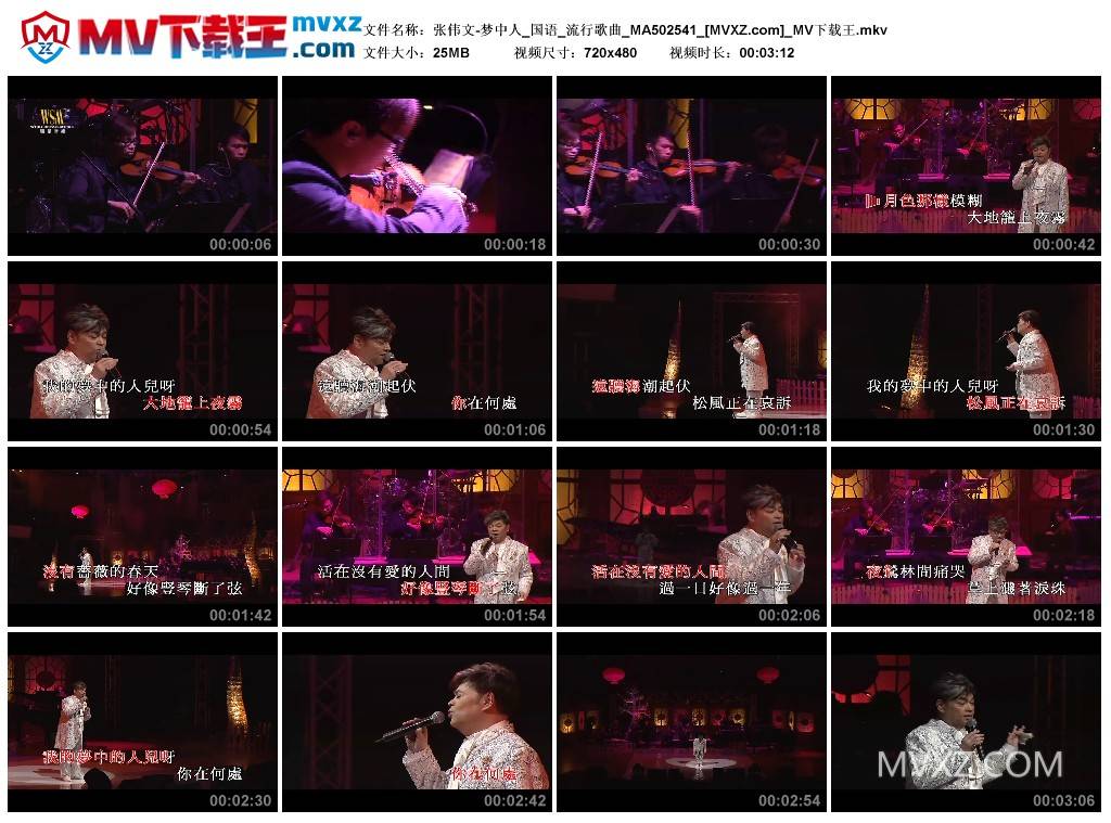 张伟文-梦中人_国语_流行歌曲_MA502541
